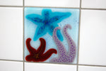 Bathroom Tiles